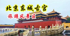日本女人屁股狂插白浆中国北京-东城古宫旅游风景区